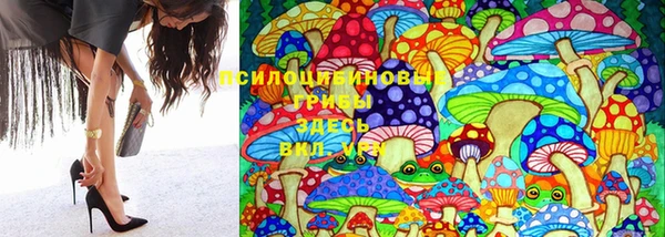 MDMA Premium VHQ Беломорск